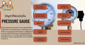 ปัญหาที่พบบ่อยใน Pressure Gauge และวิธีแก้ไข