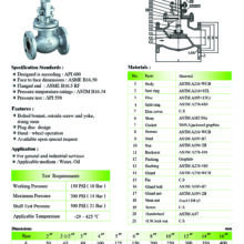 Cast steel Globe valve 150P CGL-F2 Spec