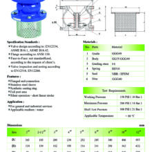 Foot valve เหล็กหล่อ ชนิดหน้าแปลน spec