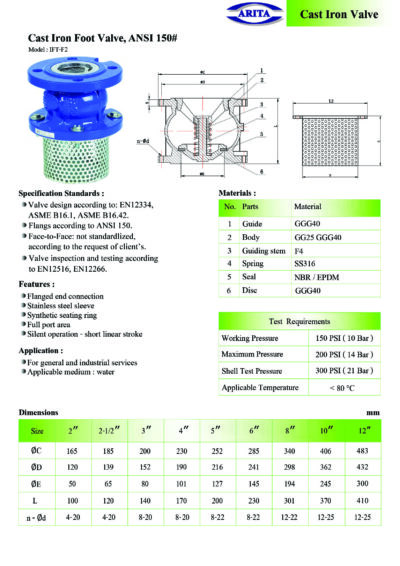 Foot valve เหล็กหล่อ ชนิดหน้าแปลน spec