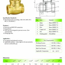 Swing Check valve ทองเหลือง BSW200 Spec