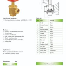Brass Fire Angle valve 300 PSI Spec