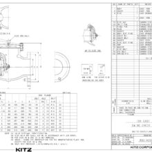 Iron Swing Check valve Kitz 10FCO Spec
