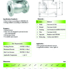 Swing Check valve เหล็กหล่อหน้าแปลน Spec