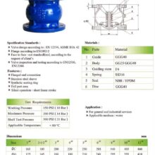 Silent Check valve Double flange PN16 spec