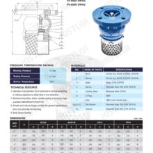Foot valve Kistler ตะแกรงสแตนเลส SUS304 Spec