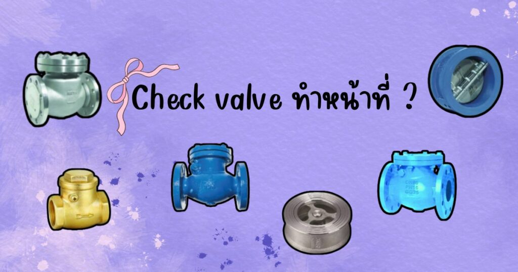 Check Valve ทำหน้าที่