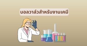 บอลวาล์วสำหรับงานเคมี