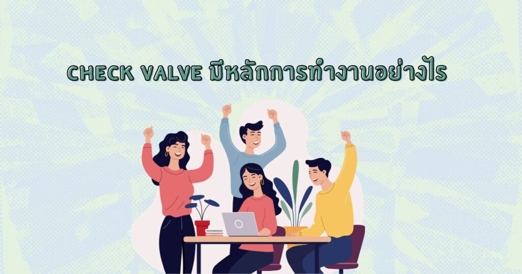 check valve หลักการทำงาน