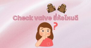 Check Valve ยี่ห้อไหนดี