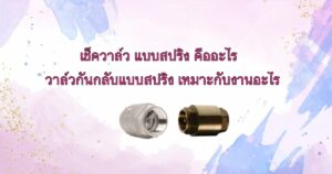 เช็ควาล์ว แบบสปริง คือ