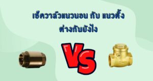 เช็ควาล์วแนวนอน กับแนวตั้ง ต่างกันยังไง