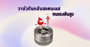 วาล์วกันกลับสแตนเลส ทนแรงดันสูง