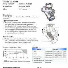 Steam Trap สแตนเลส TM304 Spec
