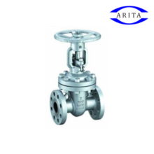 Gate valve หน้าแปลน Ansi 300 CGA-F5