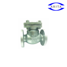 Check valve Ansi 300P CSW-F5