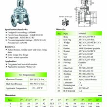 CGA-F5 Spec