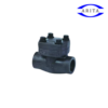 Lift Check valve Class800/1500 FLC-W8