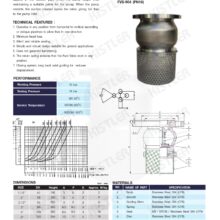 Foot Valve สแตนเลส Spec