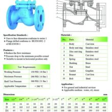 Lift Check valve S-Pattern Spec