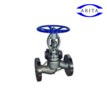 Globe valve สแตนเลส PN16 SGL-F304