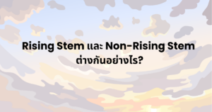 Rising Stem และ Non-Rising Stem ต่างกันอย่างไร?