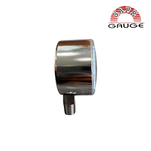 ดาต้าชีท เกจ 10 kpa data sheet Pressure gauge 0-10 KPa Safe gauge