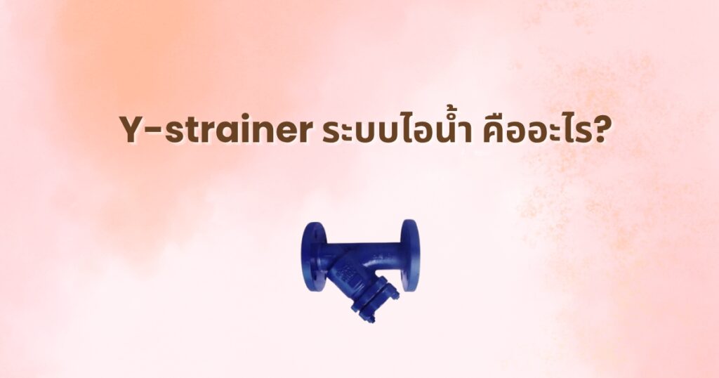 Y-Strainer ระบบไอน้ำ